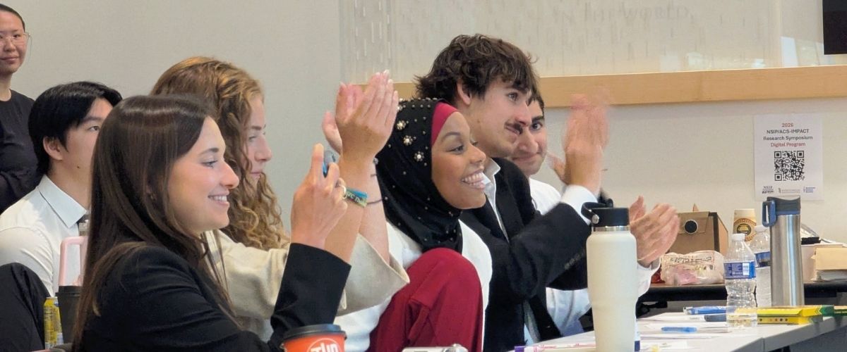 NSIP interns participating in a program session