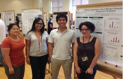 Summer Undergraduate Research Programs